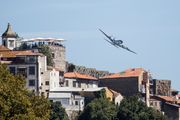 Palmesus Festival