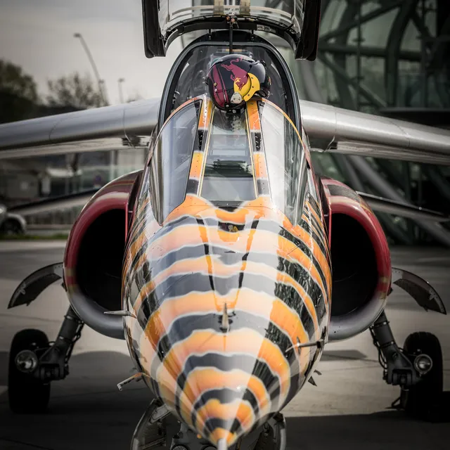 07_stefan_doblhammer_pilot_the_flying_bulls_photo_by_mirja_geh_2024.jpg