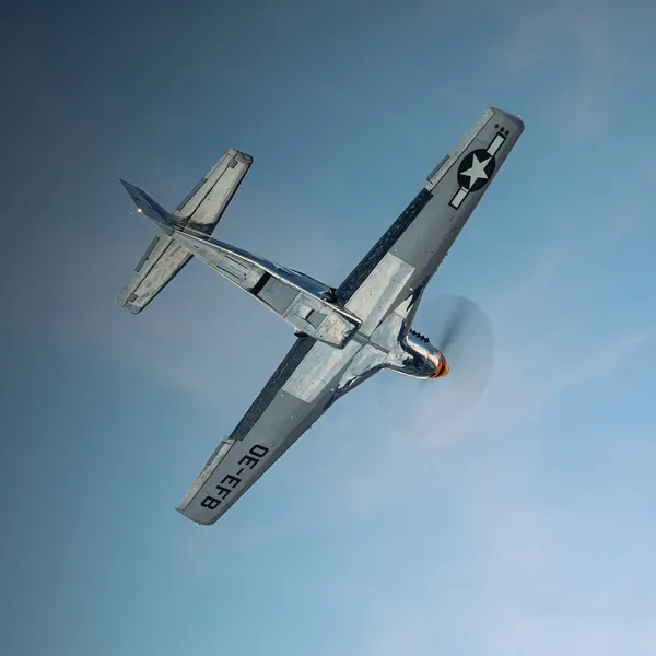 08_2024-02_north_american_p-51d_mustang_the_flying_bulls_photo_by_zajcmaster.jpg