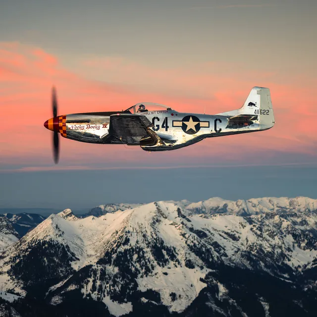 10_2024-02_north_american_p-51d_mustang_the_flying_bulls_photo_by_zajcmaster.jpg