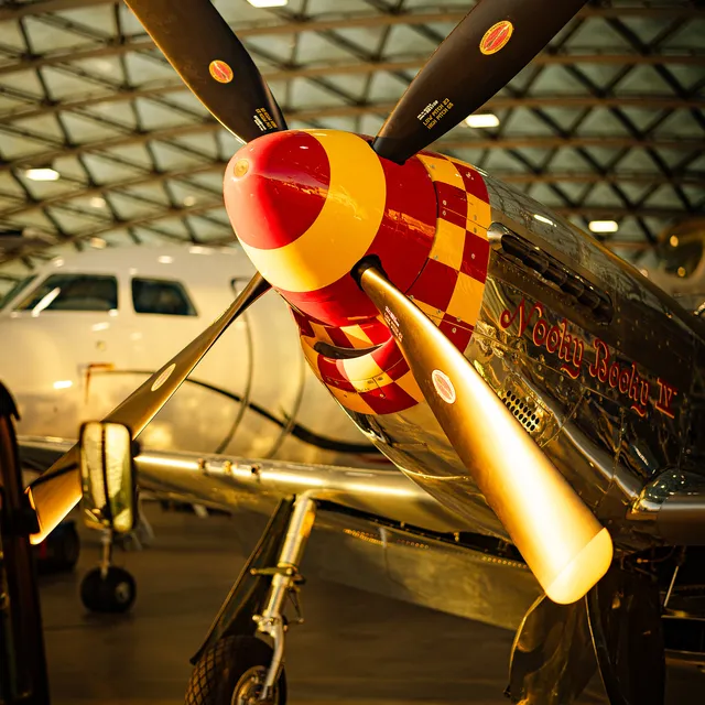 16_2024-02_north_american_p-51d_mustang_the_flying_bulls_photo_by_zajcmaster.jpg