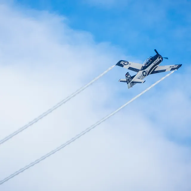 PW_-_23_-_Die_Flieger-10.jpg