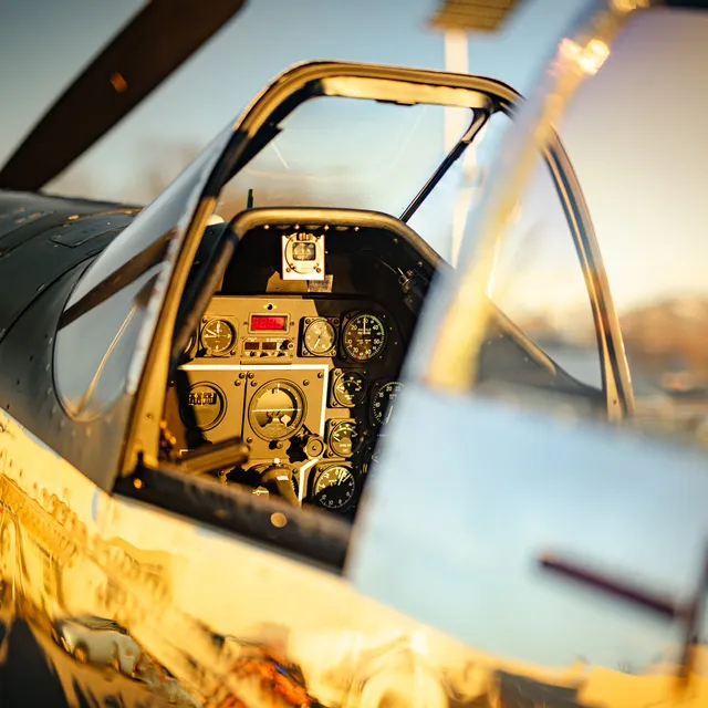 14_2024-02_north_american_p-51d_mustang_the_flying_bulls_photo_by_zajcmaster.jpg